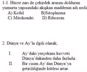 6. Sınıf İlk İki Ünite Tarama Soruları
