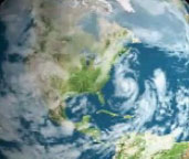 Uzaydan Hücre Çekimi. Çok İlginç Ve Güzel