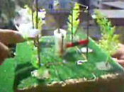 Rüzgar Enerjisi Proje