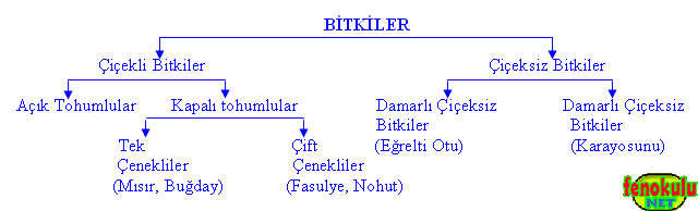 bitkicesitleri2