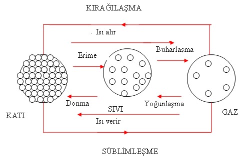 haldegisimi.jpg