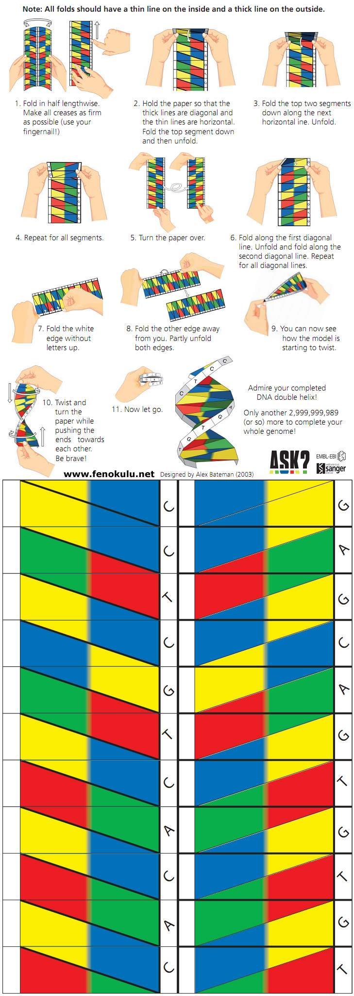 Origami İle DNA Modeli Yapımı