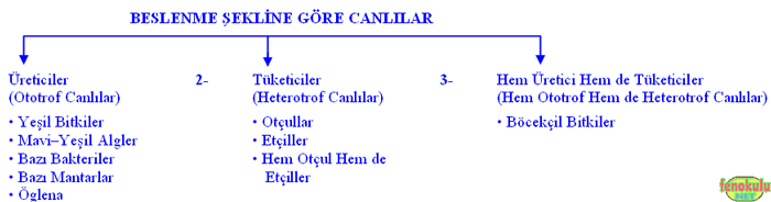 11.Snf Corafya Etkinlik lme Deerlendirme