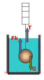 kuvvetvehareket