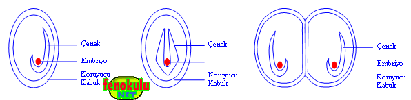 tohomnbnbm