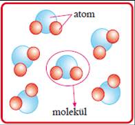 7.snf Ekoyay 4. nite Atomun yaps ve zellikleri konu ve etkinlikleri birinci blm