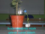 Bitki Sulama