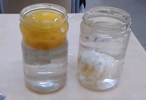 Limonun Sırrı Ne?