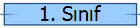 1. Sınıf