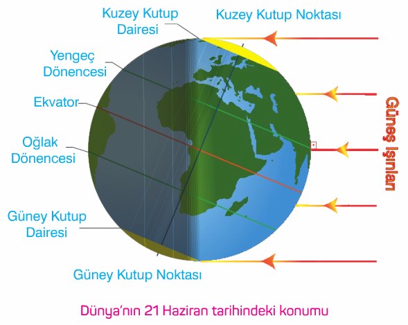 yengec donencesi nedir yengec donencesinde hangi olaylar meydana gelir