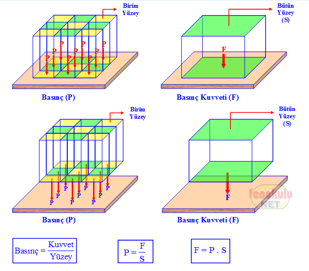 Basinc Ve Basinc Kuvveti Ayrimi