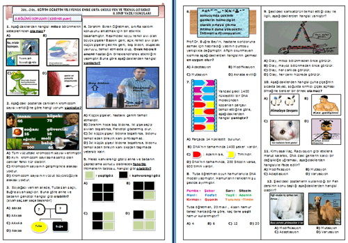 8.Snf Fen ve Teknoloji Dersi 1.Dnem 1.Yazl Sorular Sunusu
