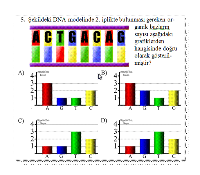 DNA ya ait zel test sorular sunusu