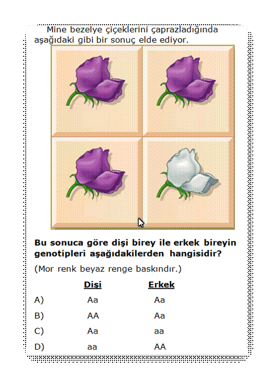 Kaltma ait  zel test sorular sunusu