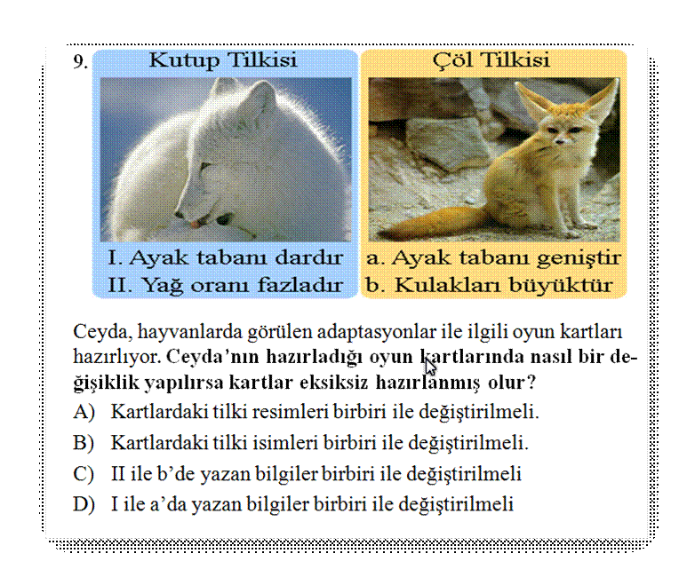 Adaptasyon ve Evrim konularna ait zel test sorular sunusu