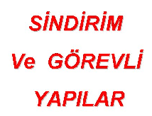 Sindirim ve grevli yaplar