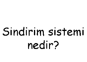 Sindirim Nedir?