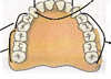 Dişler ve Ağız Sağlığı