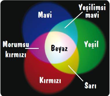 7. Snf Cisimler Nasl Renkli Grnr le lgili Ders Kitab Ve alma Kitab Sunusu