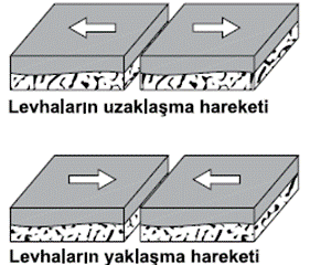 8. Snf Doal Sreler nitesine Ait SBS de kan Sorular