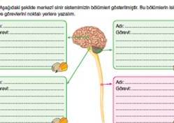 7. Snf MEB Yayn Sindirim Denetleyici ve Dzenleyici  Blm Etkinlikleri Sunusu