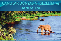 Canllar Dnyasn Gezelim ve Tanyalm