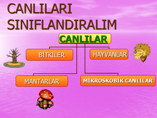 Canllarn dnyas...