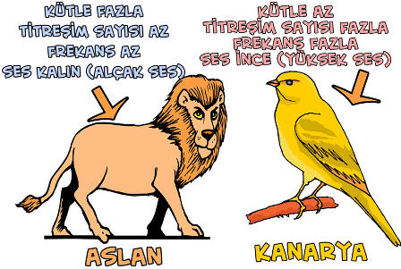 Ses nitesi konu anlatm sunu