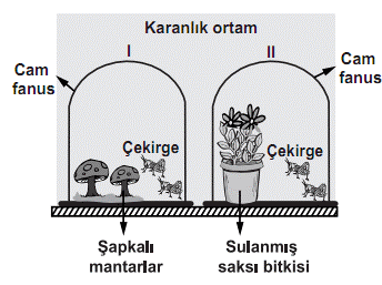 TEOG 2014 Fen ve Teknoloji Dersi 2. Dnem Snav Sorular Sunusu