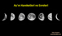 Ayn evreleri ( Yeni Mfredat)