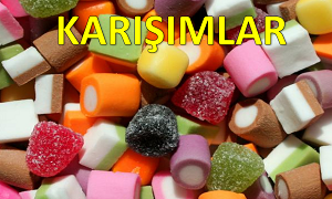 7. Snf nite 4 Karmlar