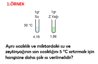 8. Snf z s rnek Soru zm