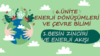 8. Snf besin zinciri ve enerji al etkileimli sunu