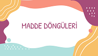 8. snf Madde Dngleri Etkileimli Sunusu