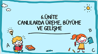 7. Snf 6. nite Canllarda reme, Byme ve Gelime Etkileimli Sunumu