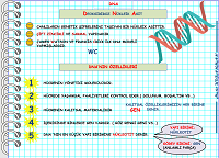 8. snf DNA ve Genetik Etkileimli Sunum