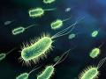 Mikroskobik canlıların özellikleri ve hayatımızdaki rolleri