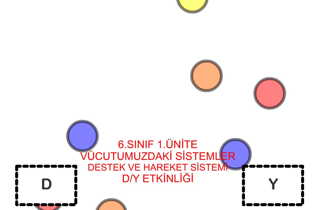 6 Snf 1.nite Destek ve Hareket Sistemi D/Y