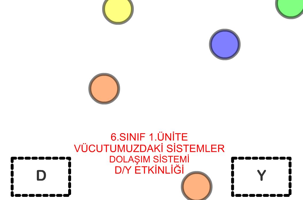 6 Snf 1.nite Dolam Sistemi  D/Y Etkinlii