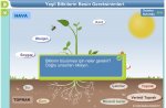 Bitkilerin büyümesi için gerekli olan maddeler2