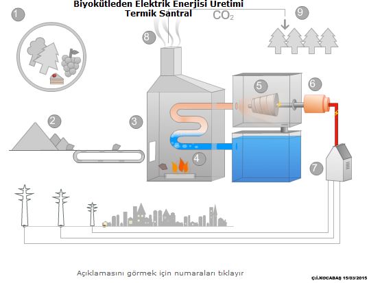 Biyoktleden Elektrik Enerjisi retimi