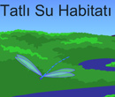 Habitatlar ve zellikleri