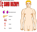  salg bezlerinin vucudumuzdaki grevleri