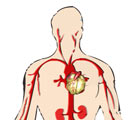 Tansiyon Nedir?