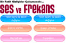 Ses ve frekans etkileimli animasyon