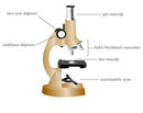 Mikroskop ve almas