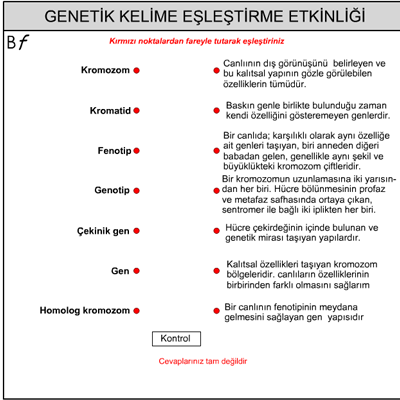 Genetik Kelime tanm eletirme etkinlii...