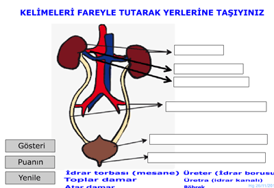 Boaltmda grevli yap ve organlar srkle brak etkinlik
