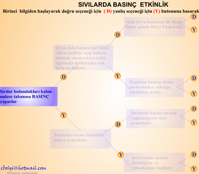 8. snf svlarda basn etkileimli doru yanl etkinlii