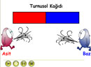 Bazlarn zellikleri ve Turnusol Kad 3